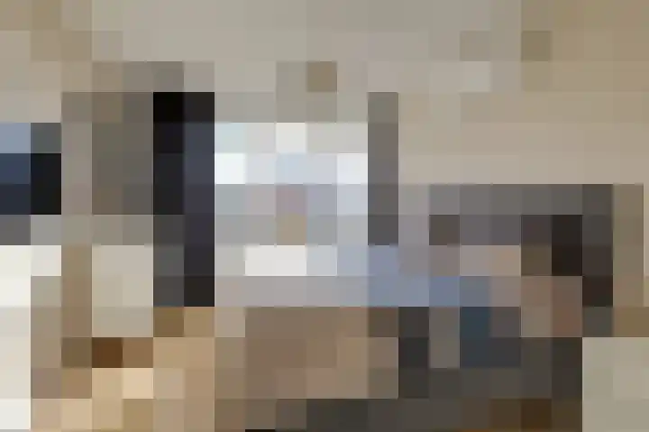 Hunneschansallee 36 Duiven thumbnail 24