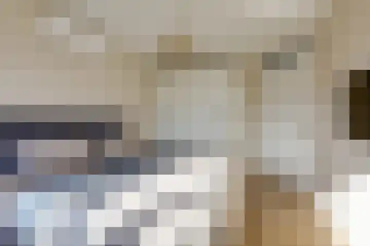 Hunneschansallee 36 Duiven thumbnail 25