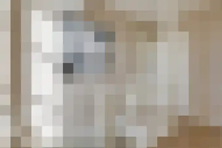Hunneschansallee 36 Duiven thumbnail 34