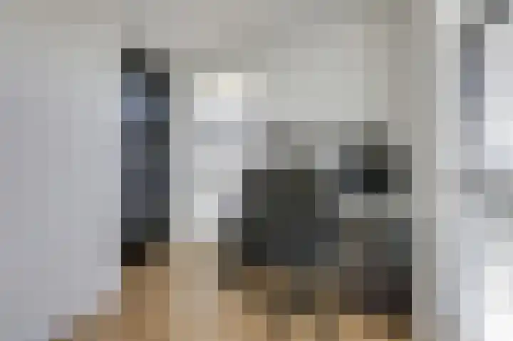 Hunneschansallee 36 Duiven thumbnail 35