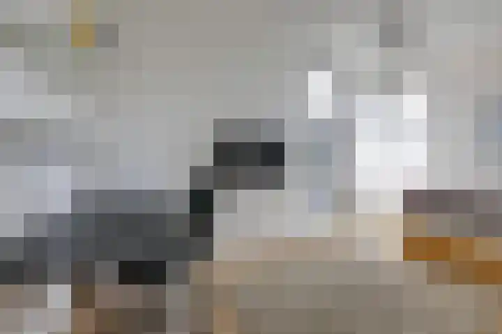 Hunneschansallee 36 Duiven thumbnail 37