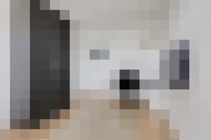 Hunneschansallee 36 Duiven thumbnail 38