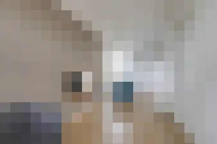 Hunneschansallee 36 Duiven thumbnail 39