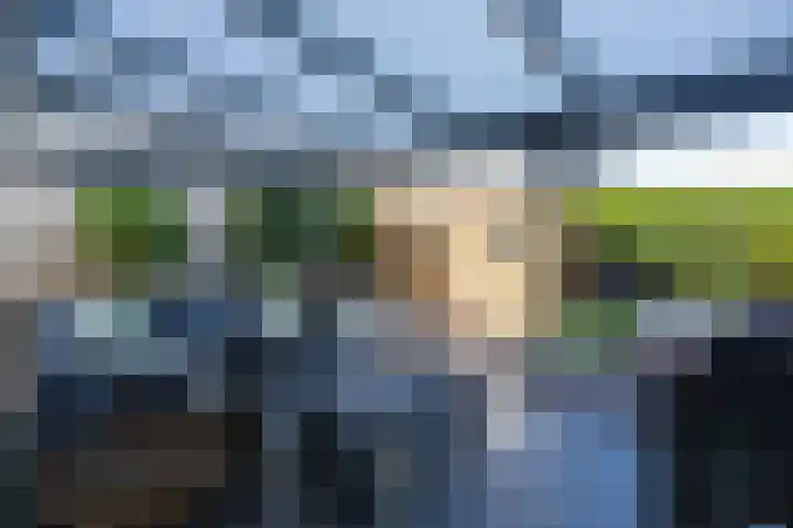Hunneschansallee 36 Duiven thumbnail 4
