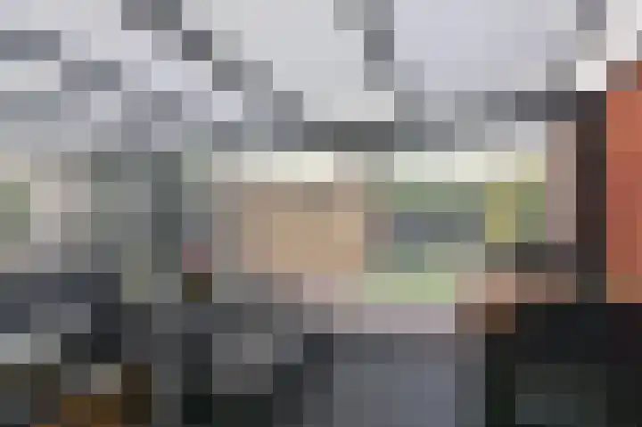 Hunneschansallee 36 Duiven thumbnail 47