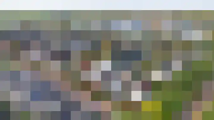 Hunneschansallee 36 Duiven thumbnail 54