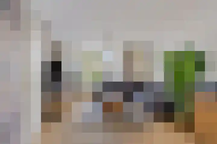 Hunneschansallee 47 Duiven thumbnail 10