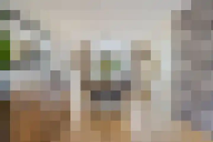 Hunneschansallee 47 Duiven thumbnail 12