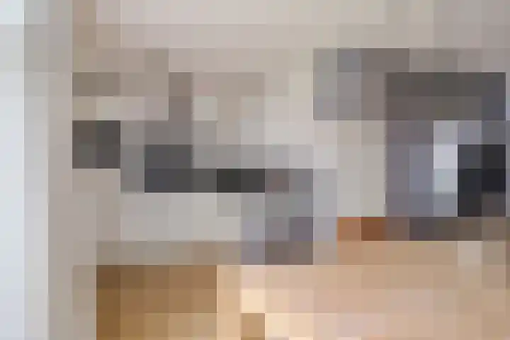 Hunneschansallee 47 Duiven thumbnail 14