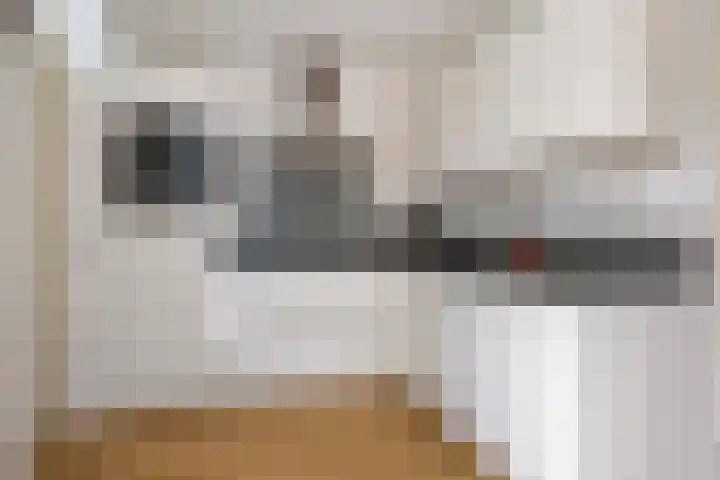 Hunneschansallee 47 Duiven thumbnail 15