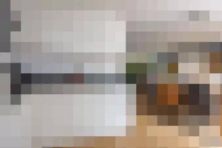 Hunneschansallee 47 Duiven thumbnail 16