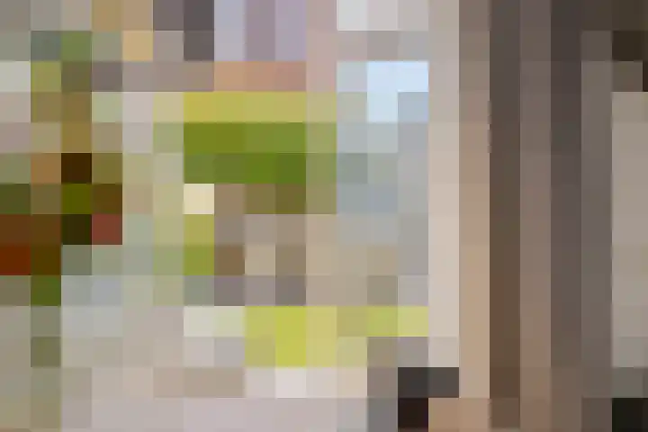 Hunneschansallee 47 Duiven thumbnail 17