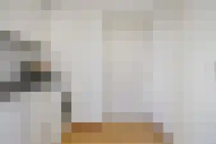 Hunneschansallee 47 Duiven thumbnail 18