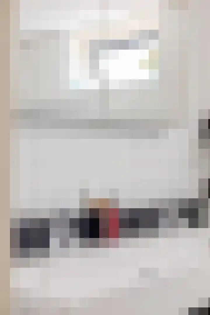 Hunneschansallee 47 Duiven thumbnail 27