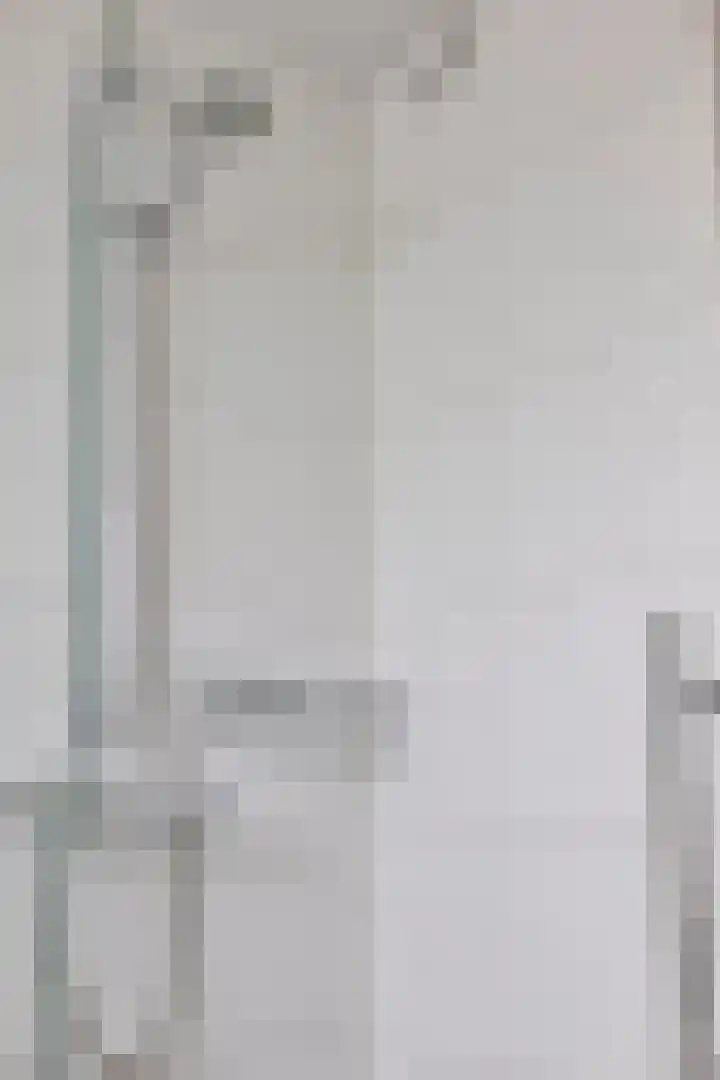 Hunneschansallee 47 Duiven thumbnail 28