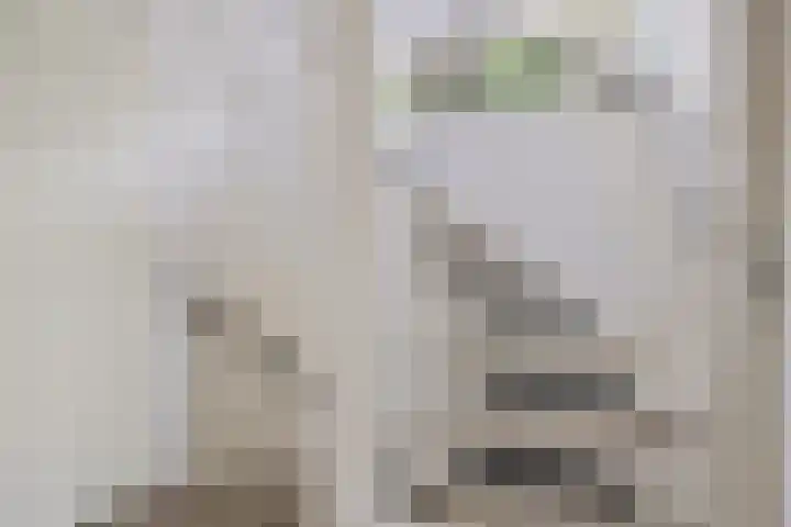 Hunneschansallee 47 Duiven thumbnail 30