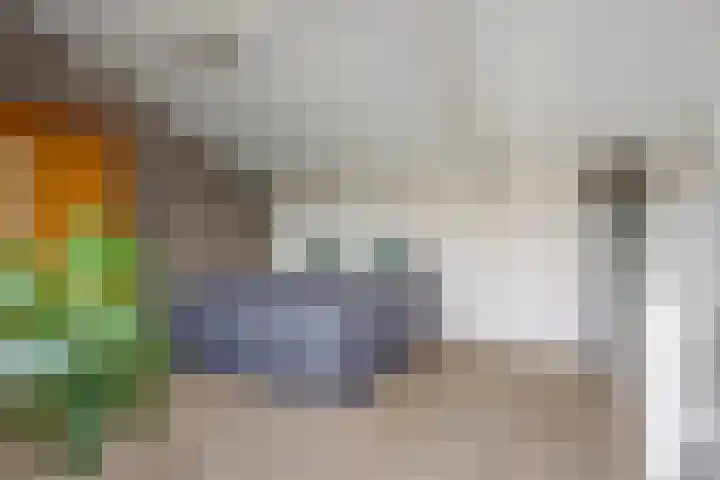 Hunneschansallee 47 Duiven thumbnail 32
