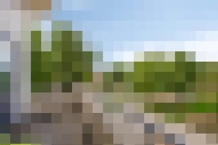 Hunneschansallee 47 Duiven thumbnail 33