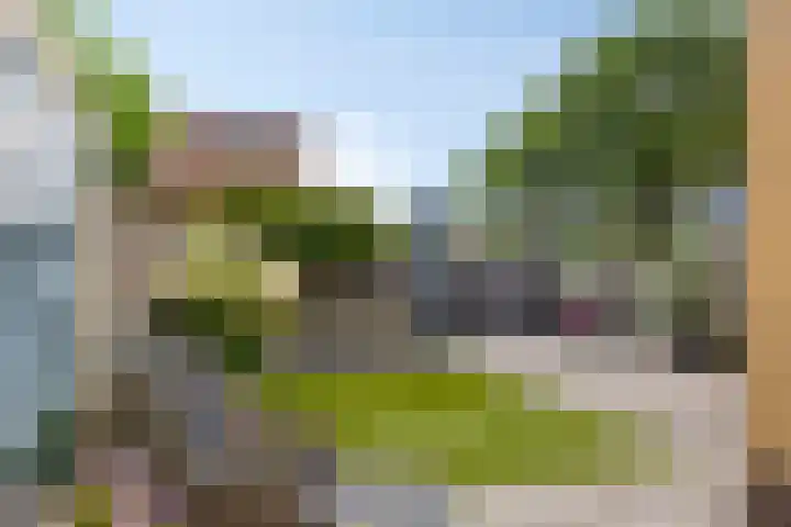 Hunneschansallee 47 Duiven thumbnail 5