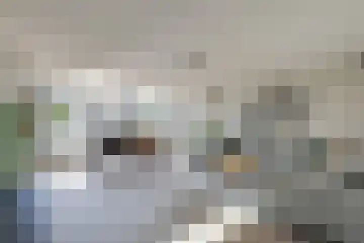 Hunneschansallee 51 Duiven thumbnail 10