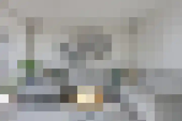 Hunneschansallee 51 Duiven thumbnail 11