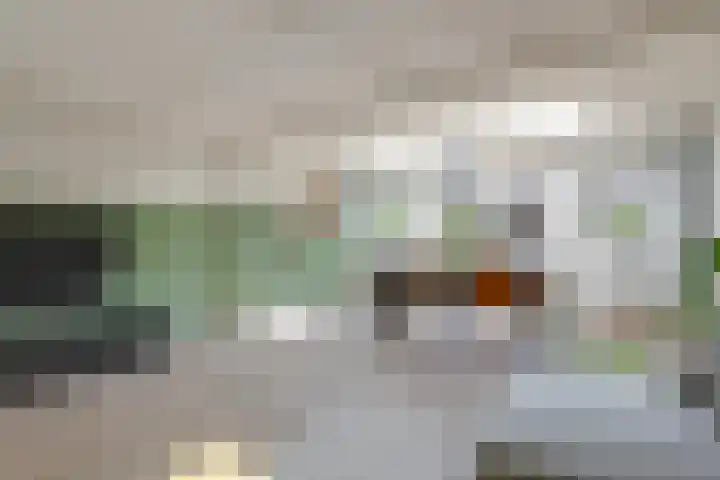 Hunneschansallee 51 Duiven thumbnail 12