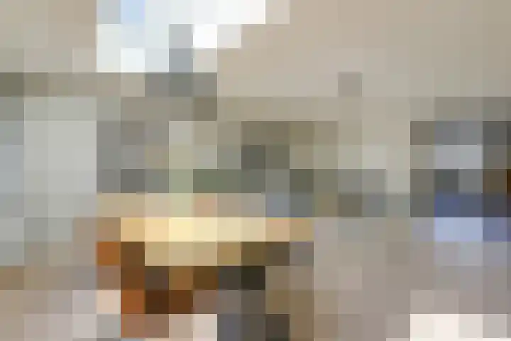 Hunneschansallee 51 Duiven thumbnail 15