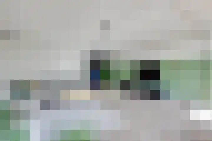 Hunneschansallee 51 Duiven thumbnail 16