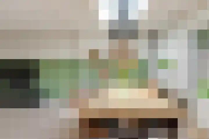 Hunneschansallee 51 Duiven thumbnail 17