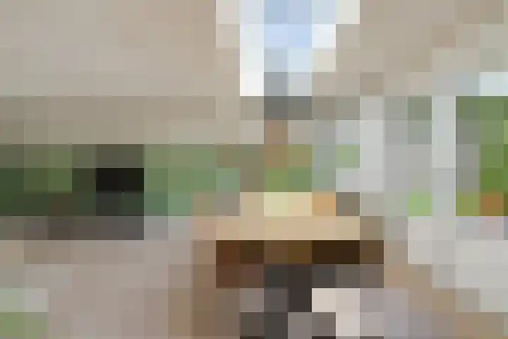Hunneschansallee 51 Duiven thumbnail 18