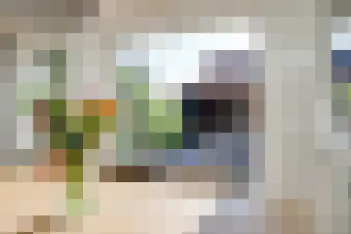 Hunneschansallee 51 Duiven thumbnail 20