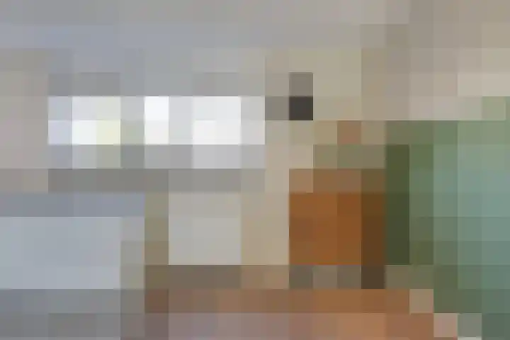 Hunneschansallee 51 Duiven thumbnail 22