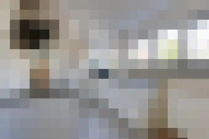 Hunneschansallee 51 Duiven thumbnail 23