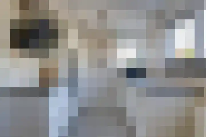 Hunneschansallee 51 Duiven thumbnail 24