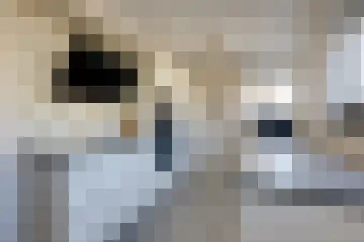 Hunneschansallee 51 Duiven thumbnail 25