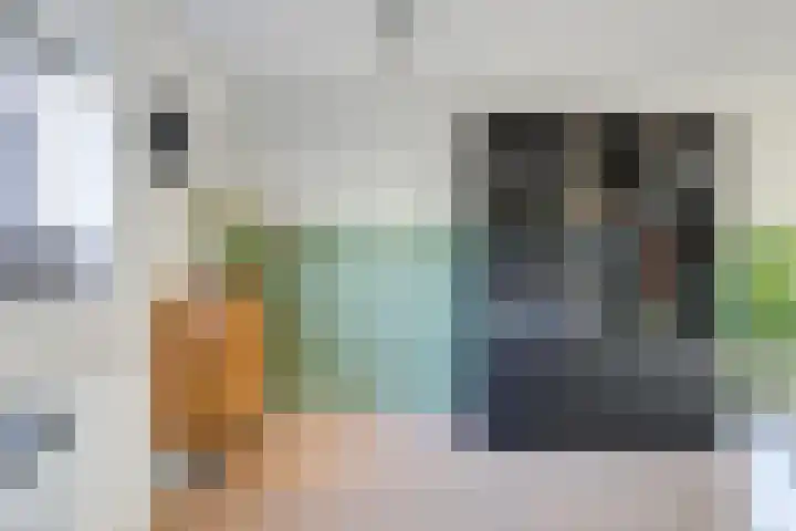 Hunneschansallee 51 Duiven thumbnail 26