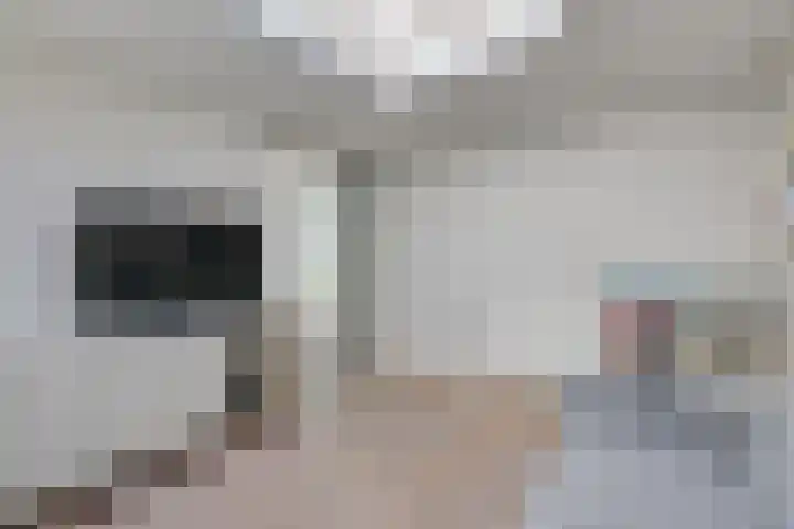 Hunneschansallee 51 Duiven thumbnail 28