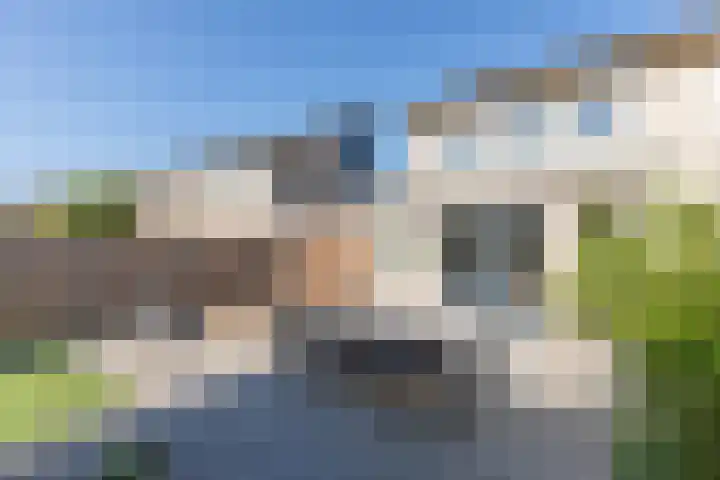 Hunneschansallee 51 Duiven thumbnail 34