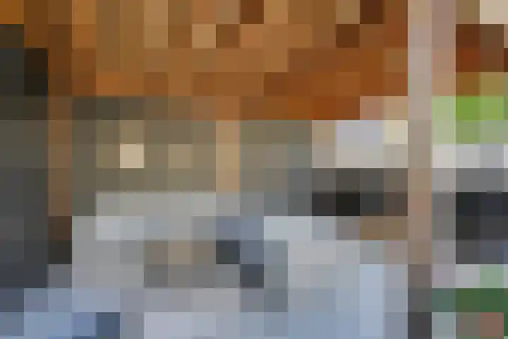 Hunneschansallee 51 Duiven thumbnail 35
