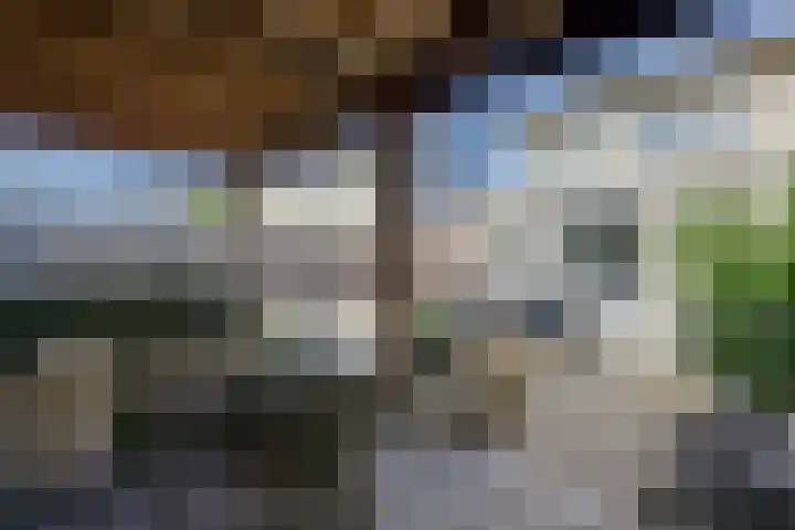 Hunneschansallee 51 Duiven thumbnail 36