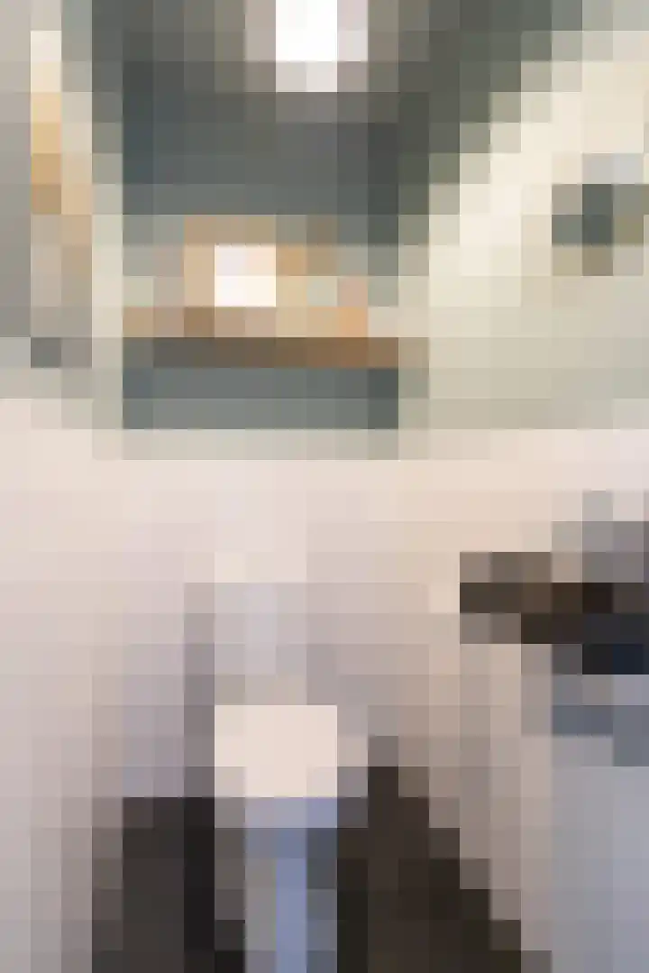 Hunneschansallee 51 Duiven thumbnail 38