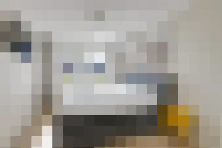 Hunneschansallee 51 Duiven thumbnail 41