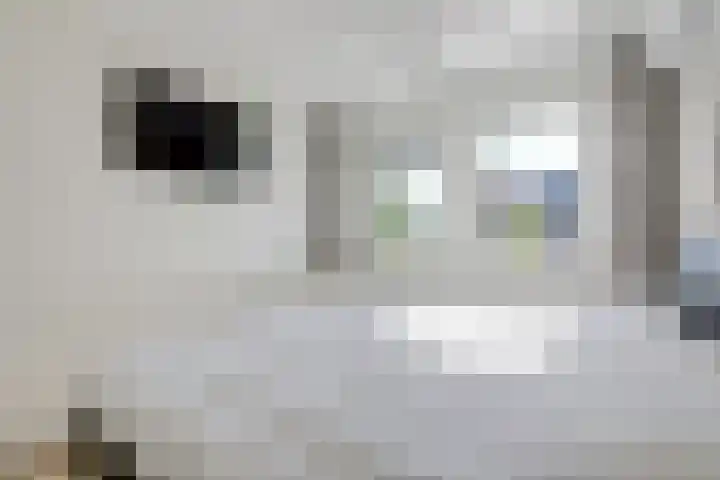Hunneschansallee 51 Duiven thumbnail 42