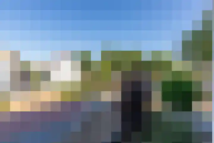 Hunneschansallee 51 Duiven thumbnail 45