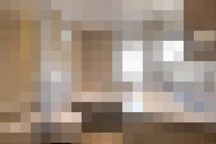 Hunneschansallee 51 Duiven thumbnail 49