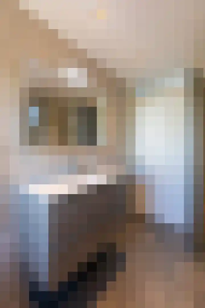 Hunneschansallee 51 Duiven thumbnail 52