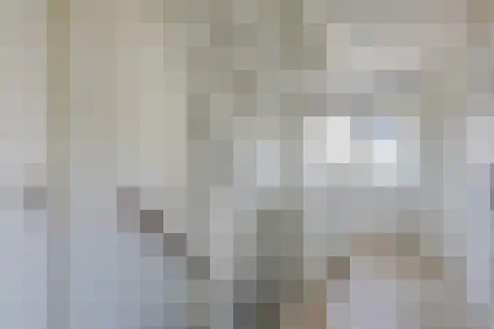 Hunneschansallee 51 Duiven thumbnail 54