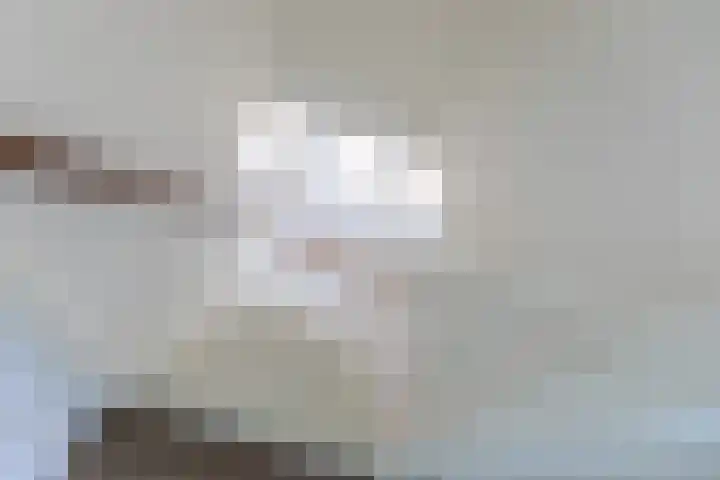 Hunneschansallee 51 Duiven thumbnail 55