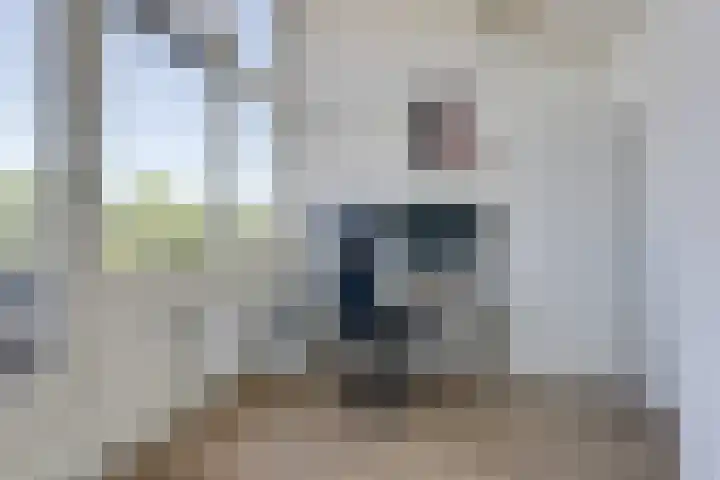 Hunneschansallee 51 Duiven thumbnail 56