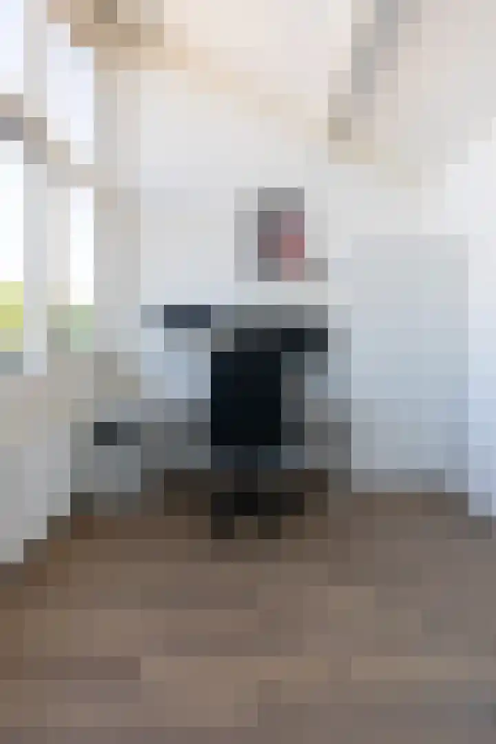 Hunneschansallee 51 Duiven thumbnail 57